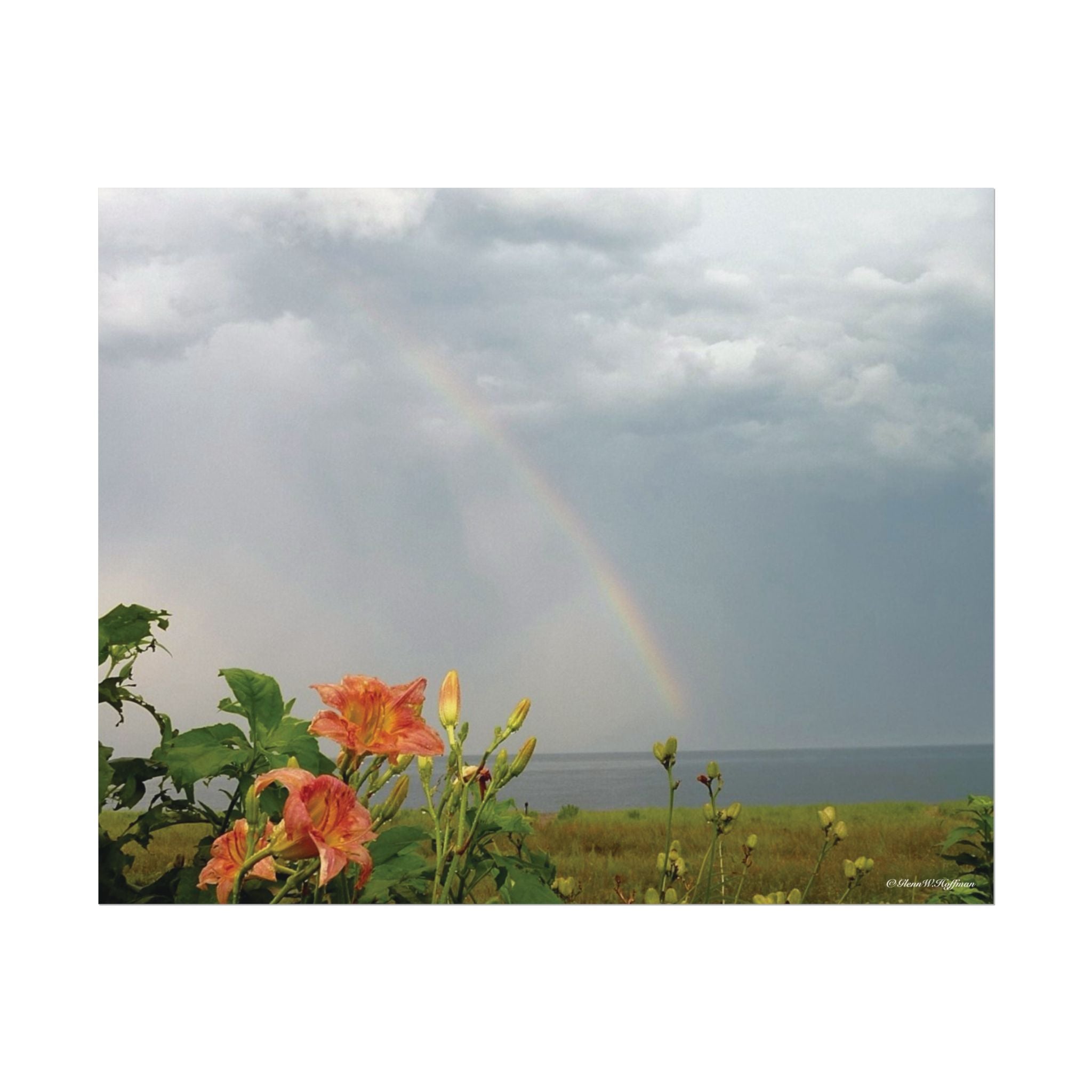 Rainbow & Daylilies Guard The Bluff - Textured Watercolor Matte Poster/Horizontal