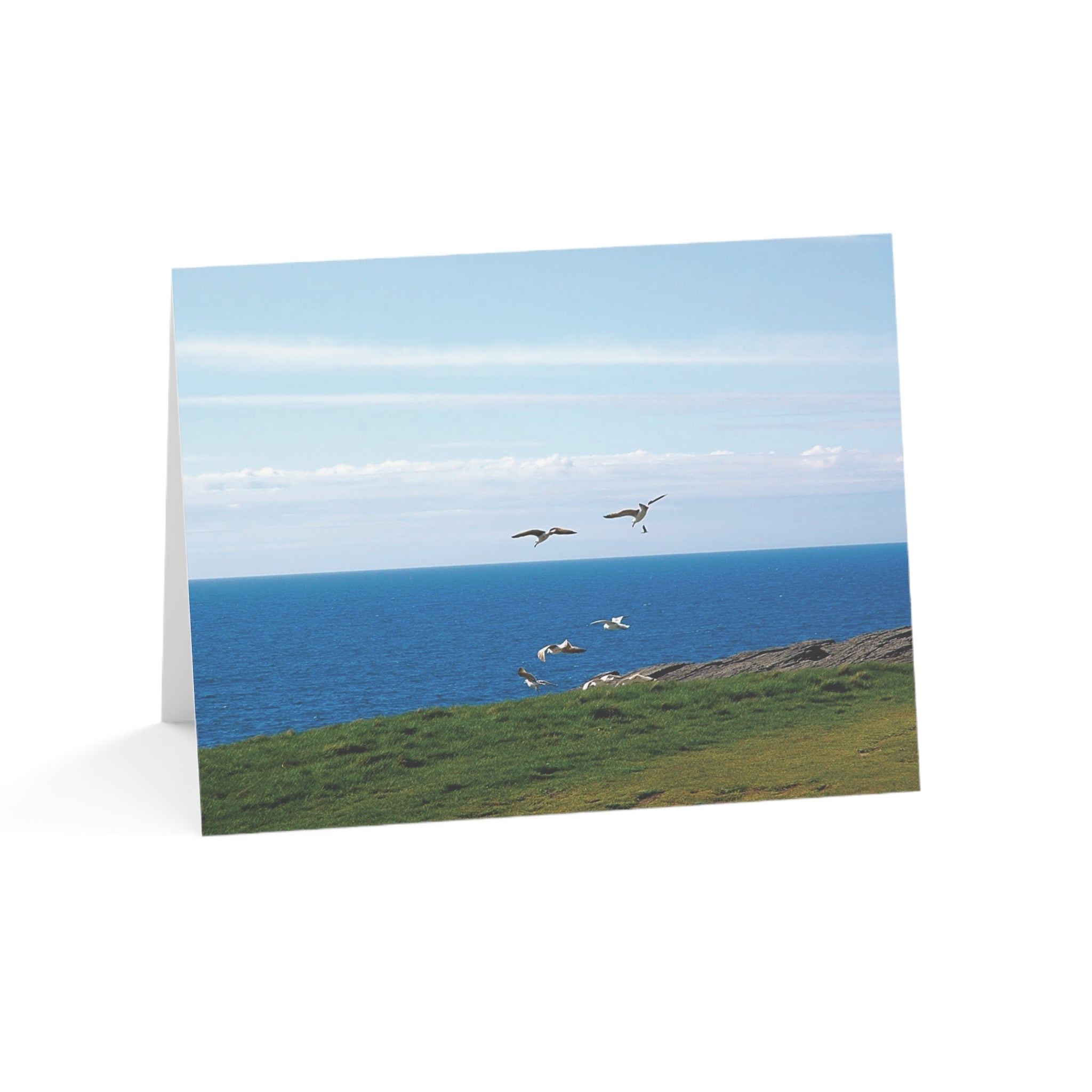 Happy Celtic Gulls – The Joy of Ireland Collection