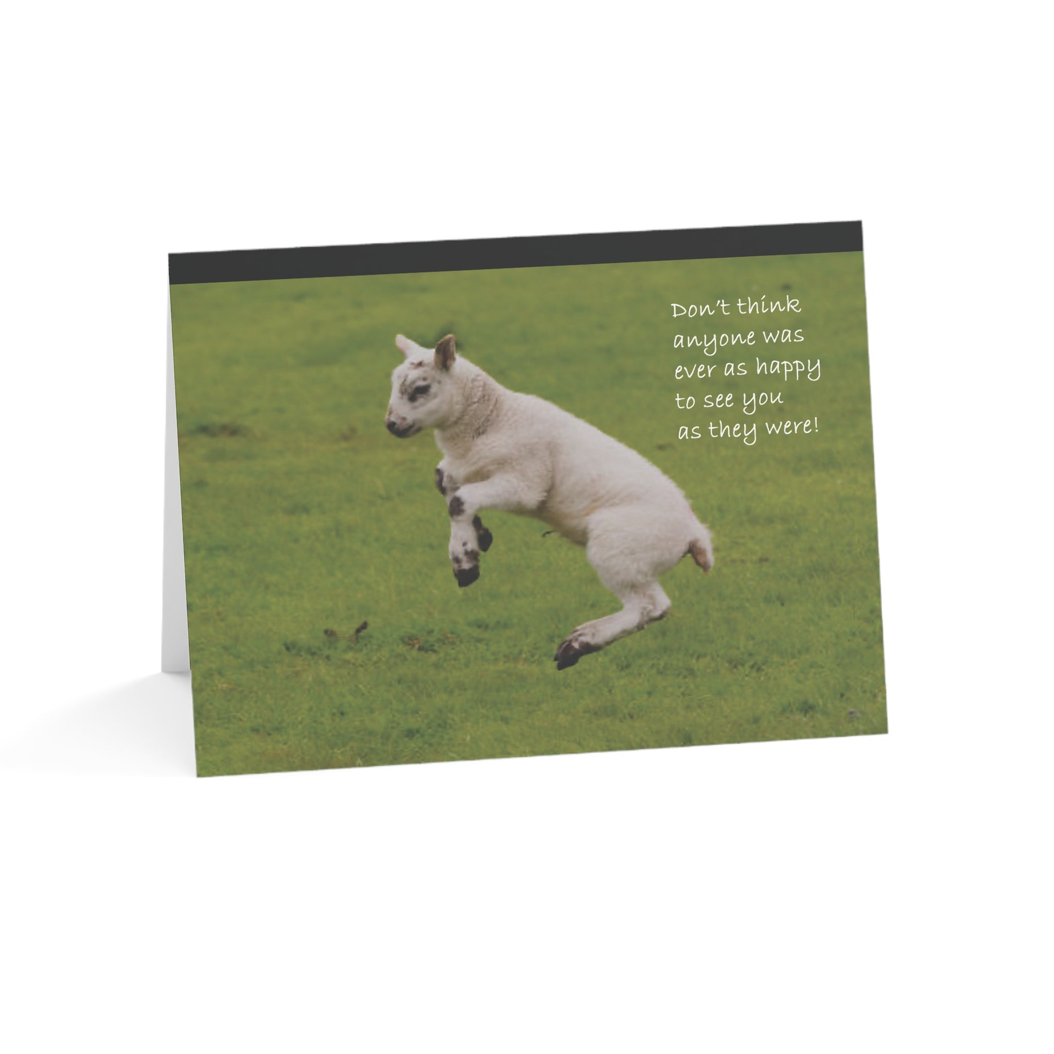 One Happy Lamb – Loss of Pet