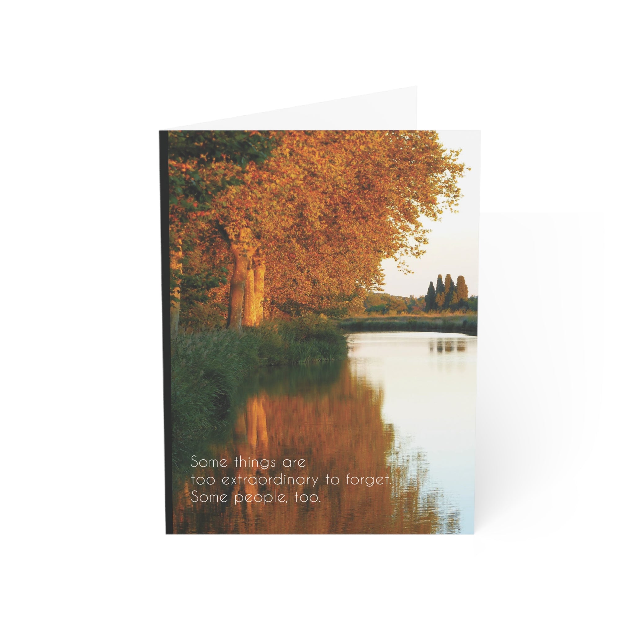 Too Wonderful to Forget - Grief, Sympathy Card, General Loss