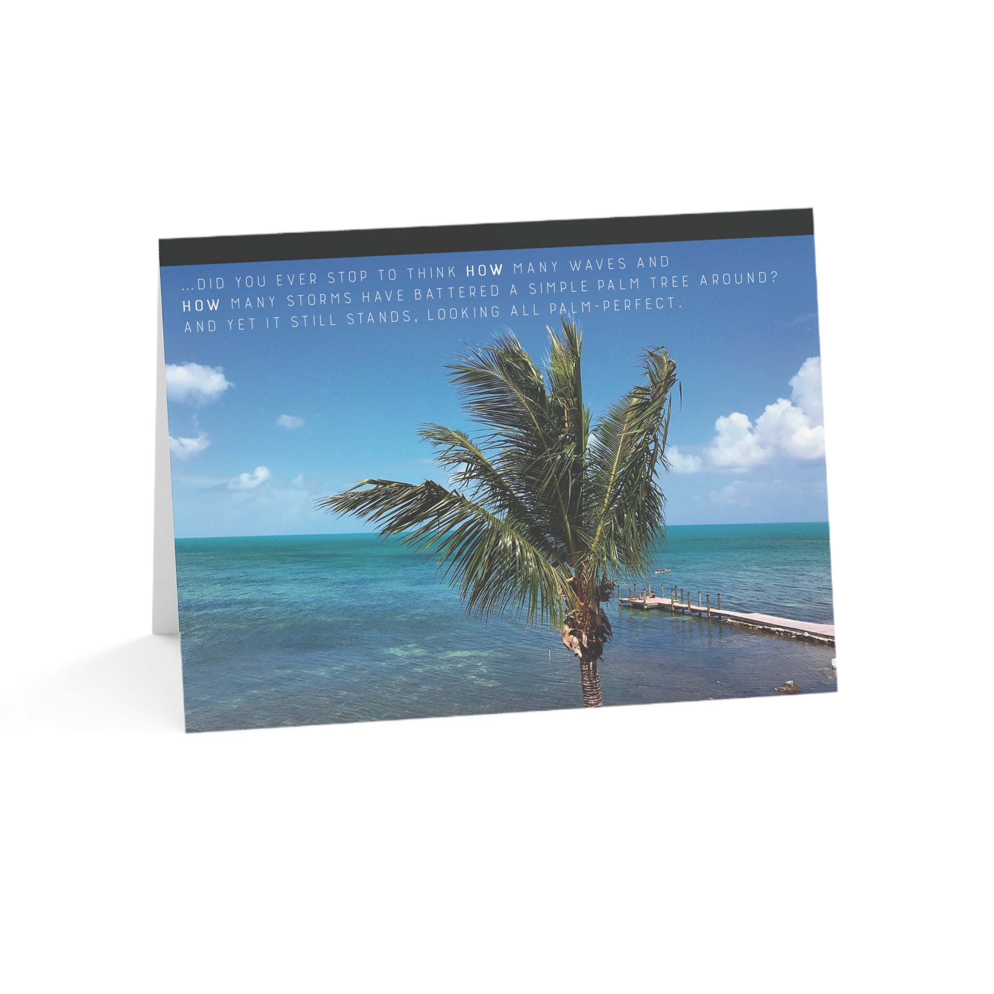 You're Something Special – Empathy, Friendship, Thinking of You Card