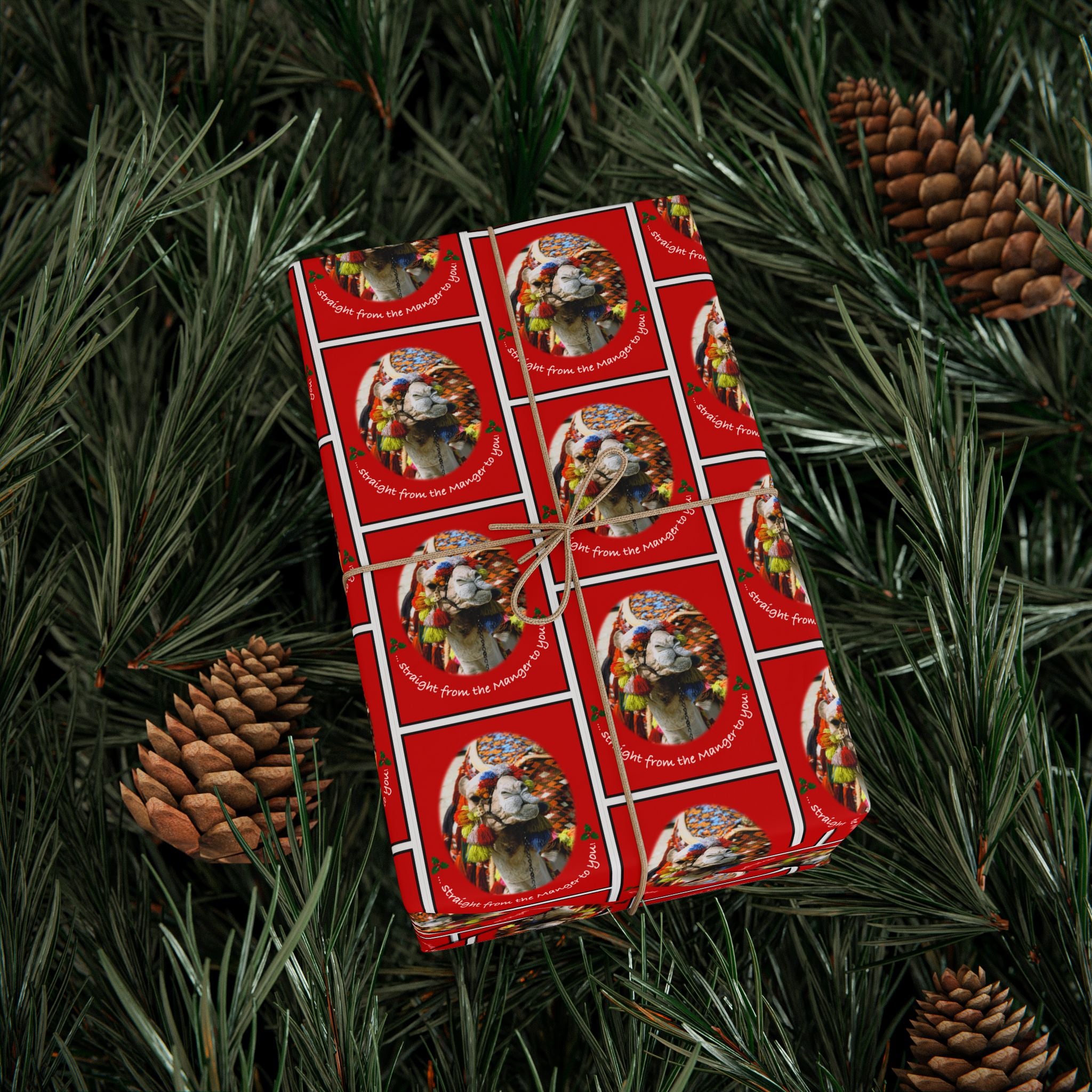 Direct from Mr. Camel – Holiday Wrapping Paper