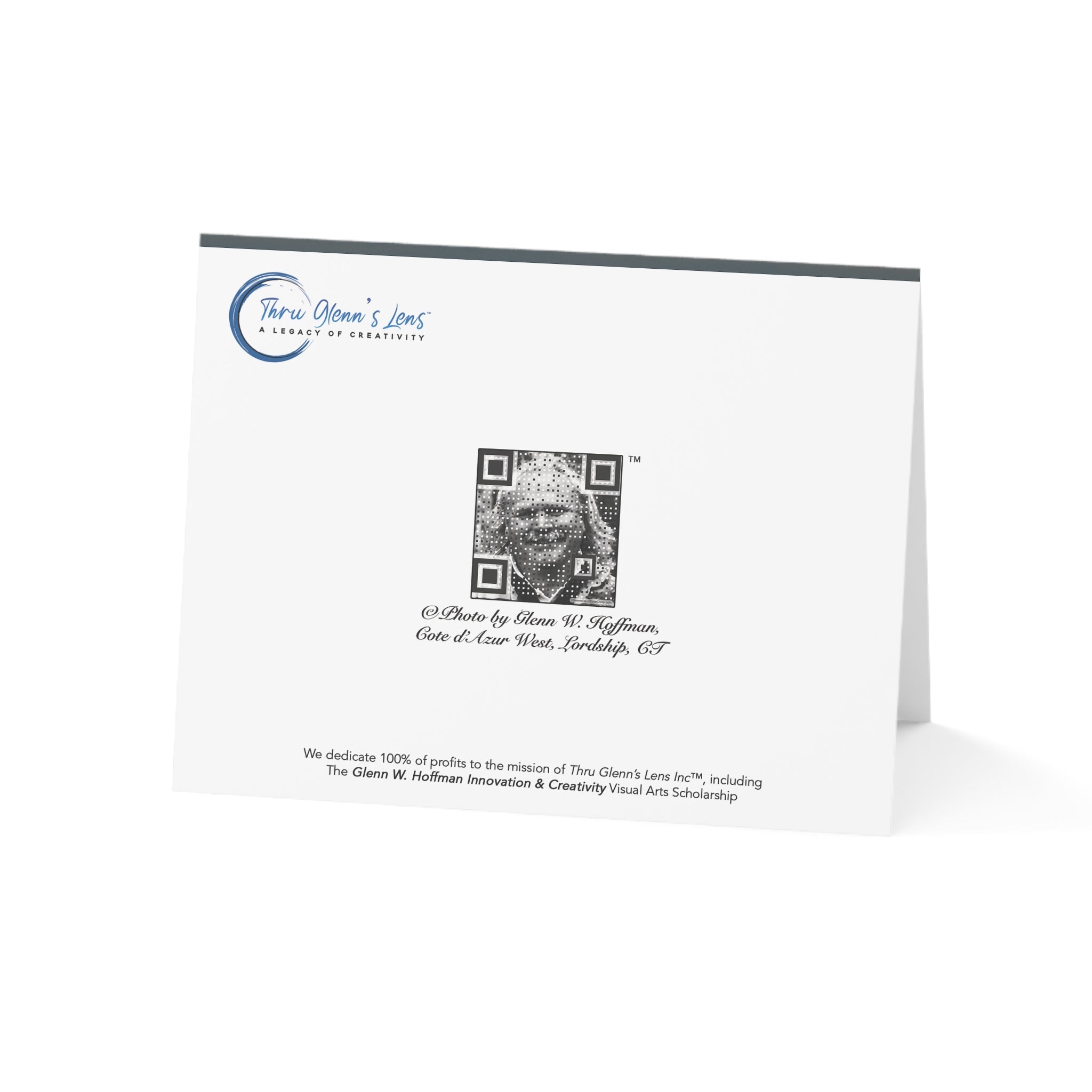 A Red Sky & A Lonely Gull – Sunsets Collection