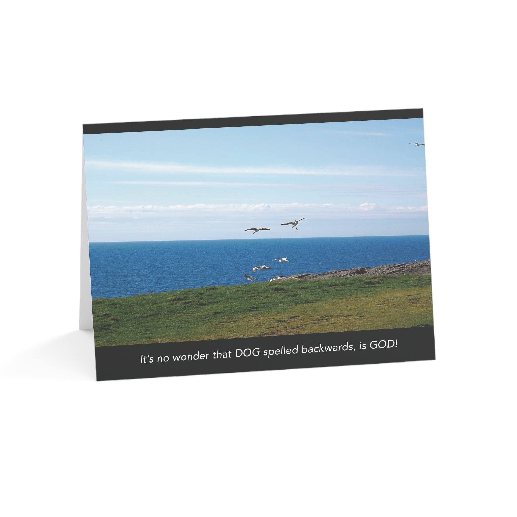 Soaring Gulls to Chase – Grief, Sympathy Card, Loss of Pet