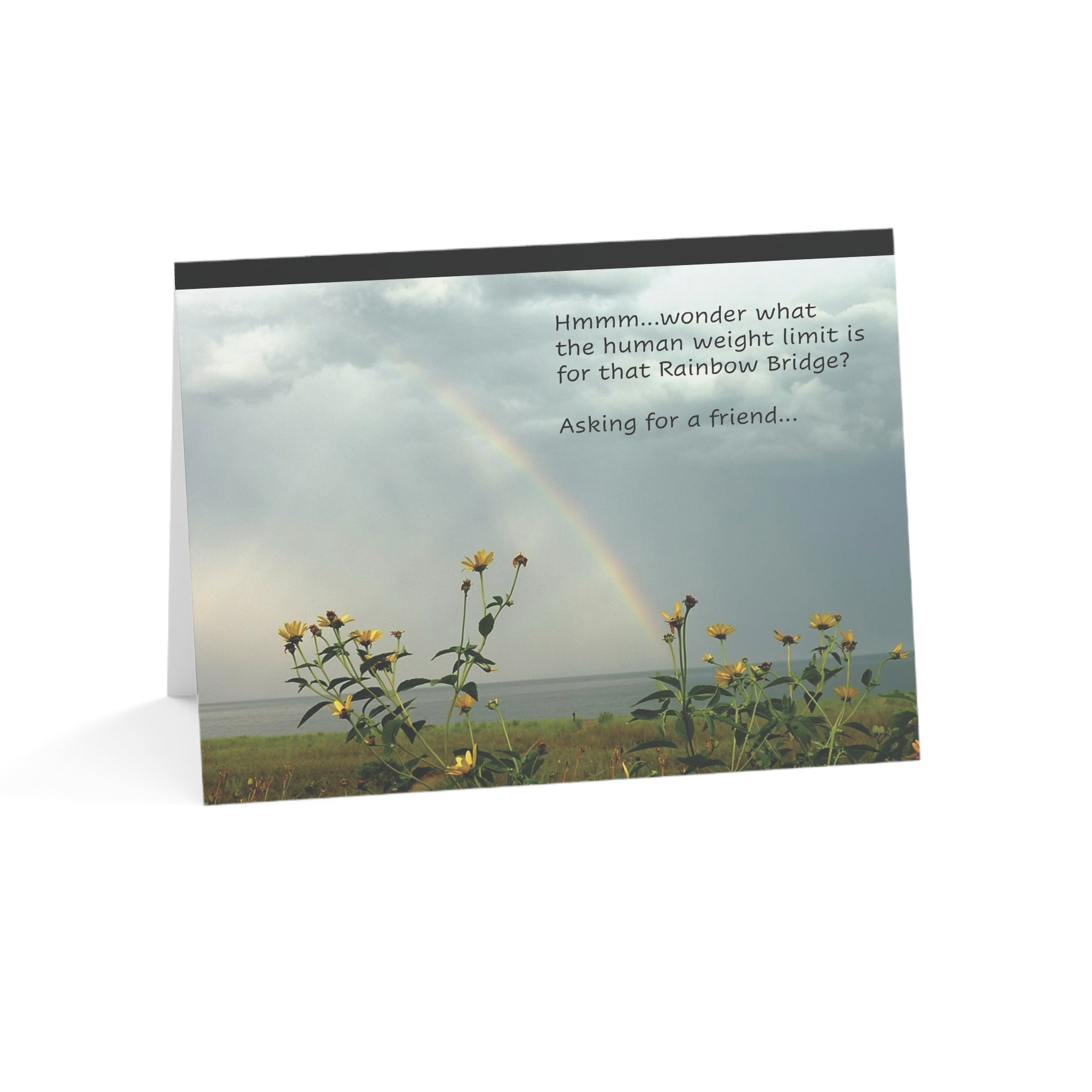 A Daisy Rainbow Bridge – Grief, Sympathy Card, Loss of Pet