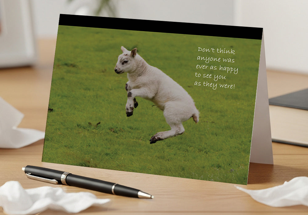 One Happy Lamb – Loss of Pet