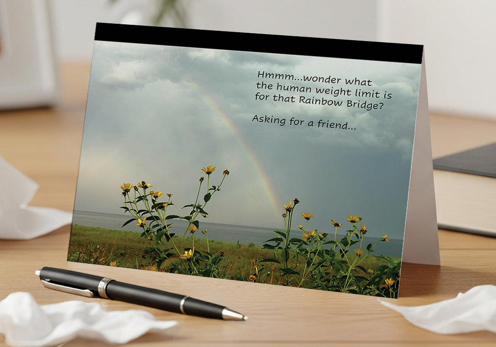 A Daisy Rainbow Bridge – Grief, Sympathy Card, Loss of Pet