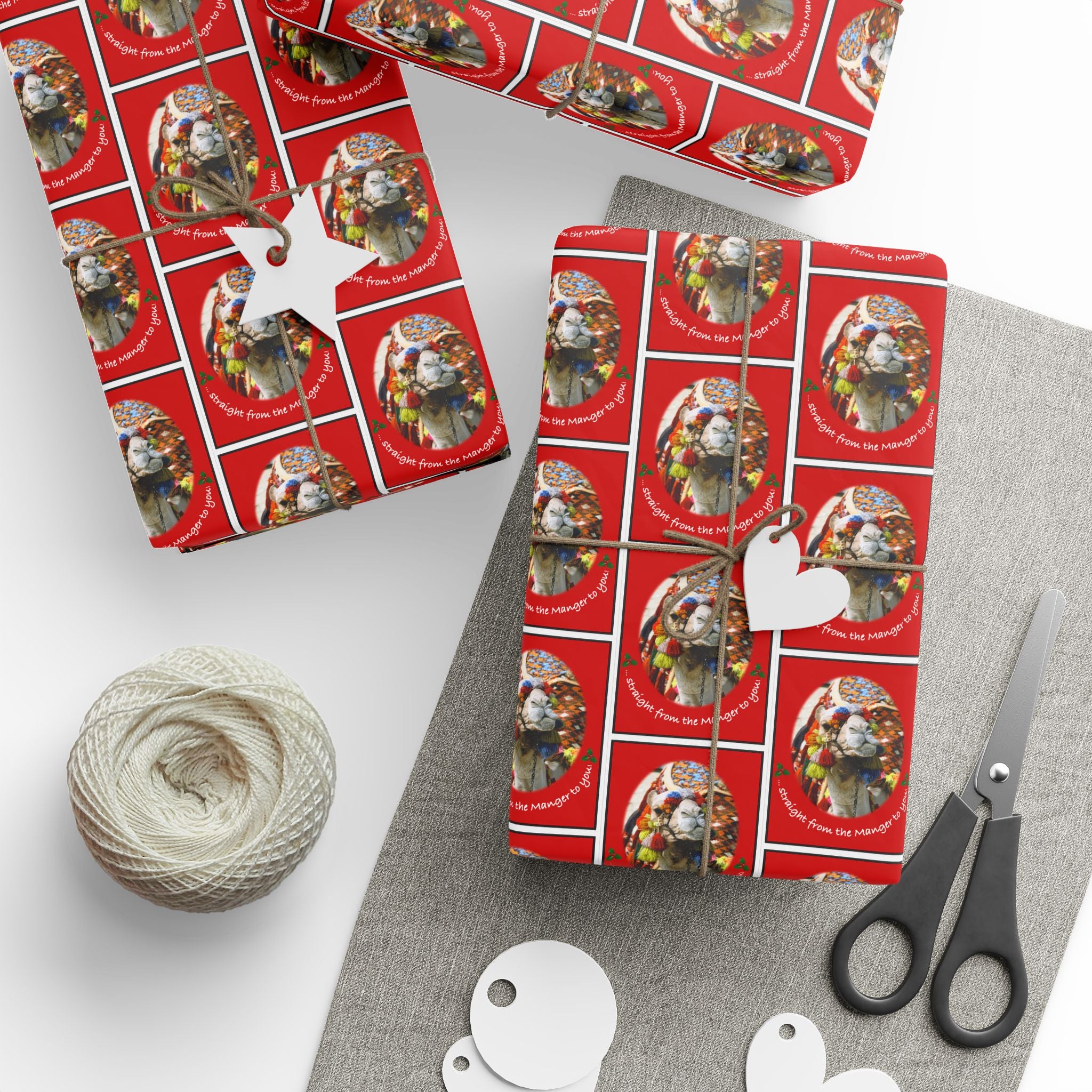 Direct from Mr. Camel – Holiday Wrapping Paper