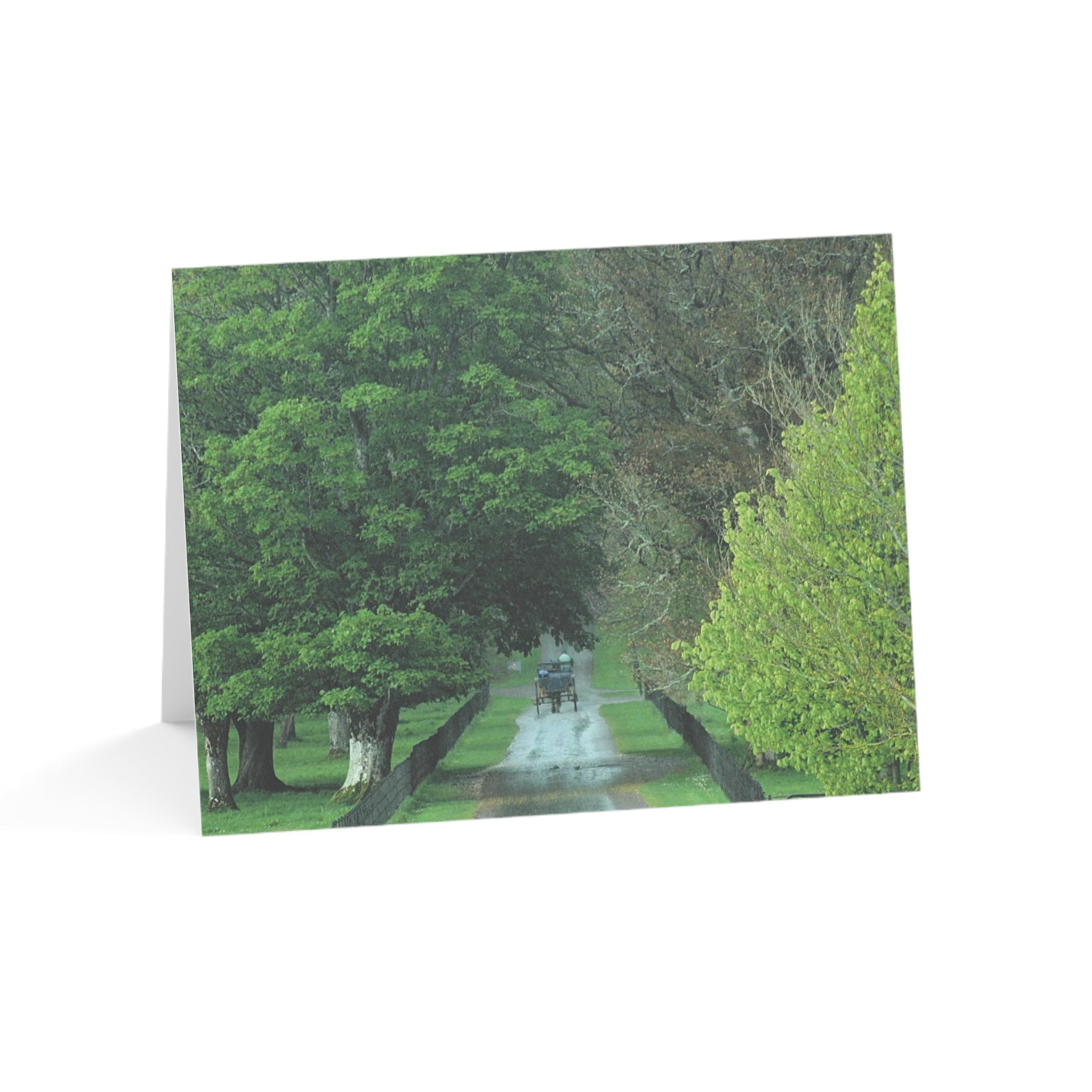 Just a Simple Country Carriage – The Joy of Ireland Collection