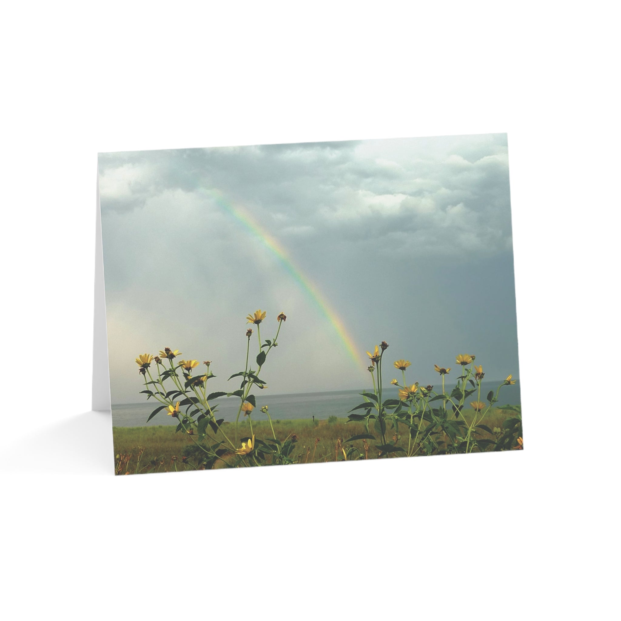 A Happy Rainbow & Daisies - Rainbows Collection