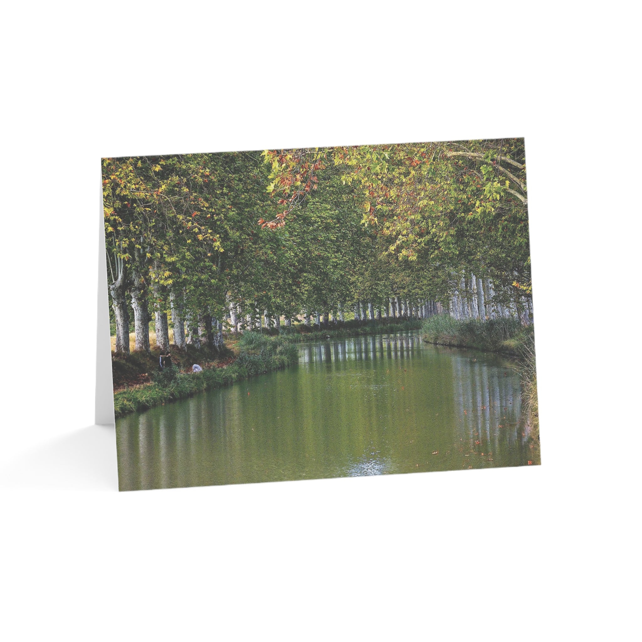 Peaceful French Canal-Side Stroll – Canals of Europe Collection