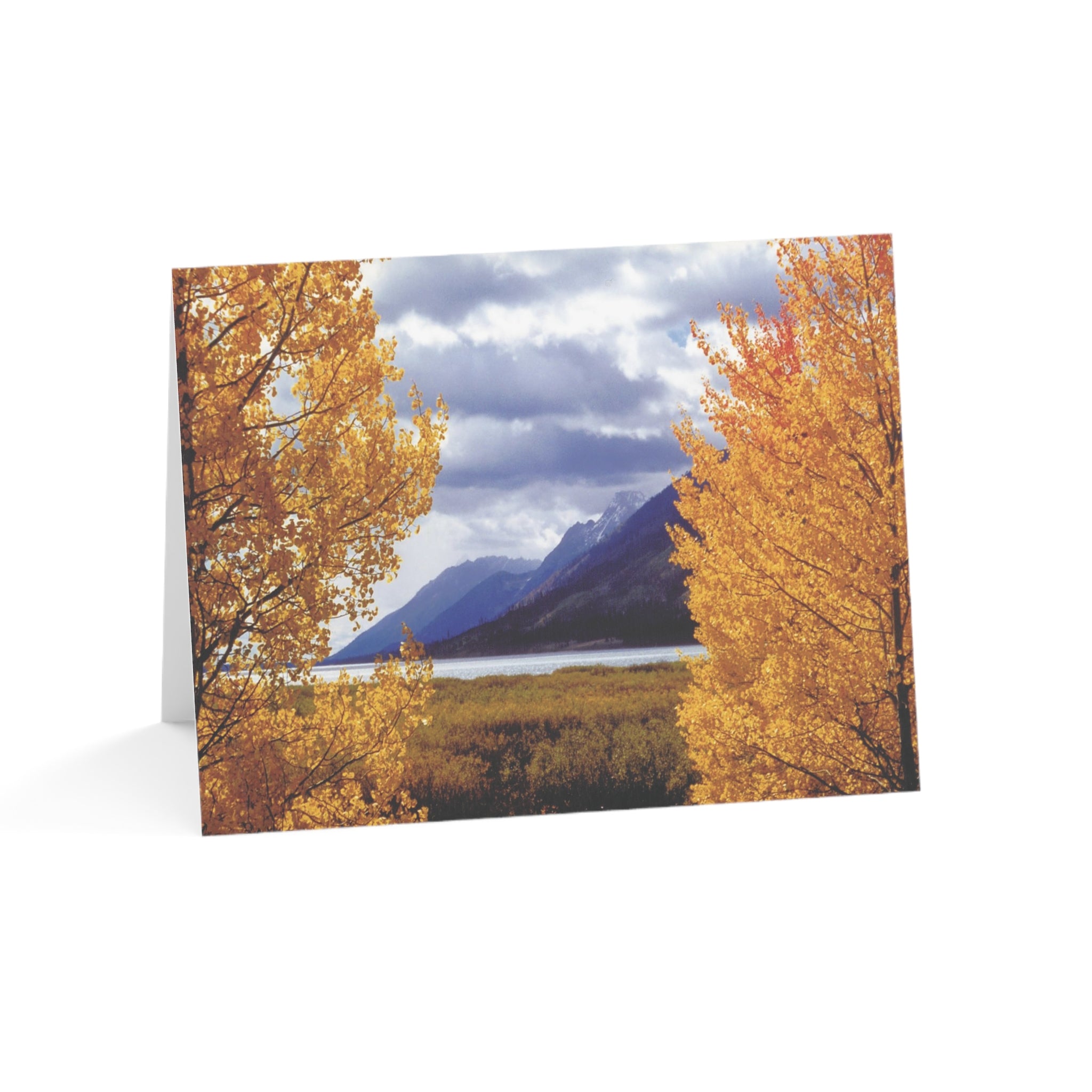 Framed by Beautiful Aspens – Jackson Hole Magic Collection