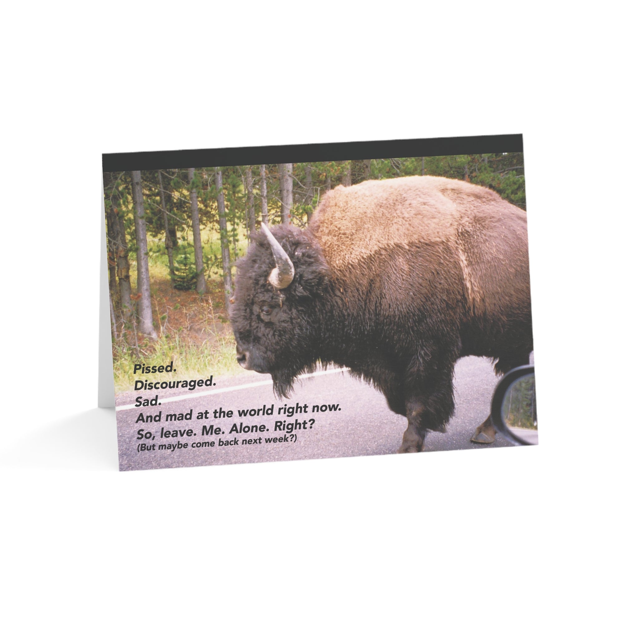 One Pissed Off Bison - Empathy, Support Card, Angry, Pissed at the World