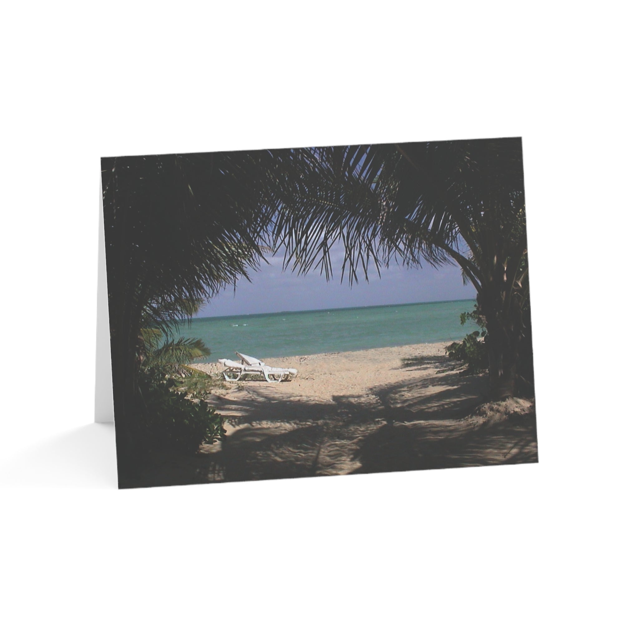 Welcoming Tunnel of Palms – At Peace By The Sea Collection