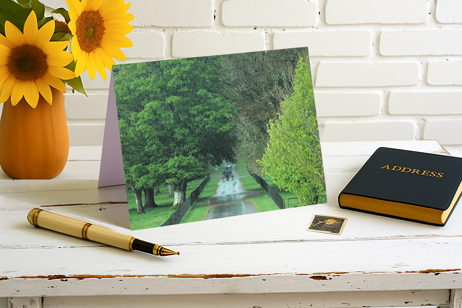 Just a Simple Country Carriage – The Joy of Ireland Collection