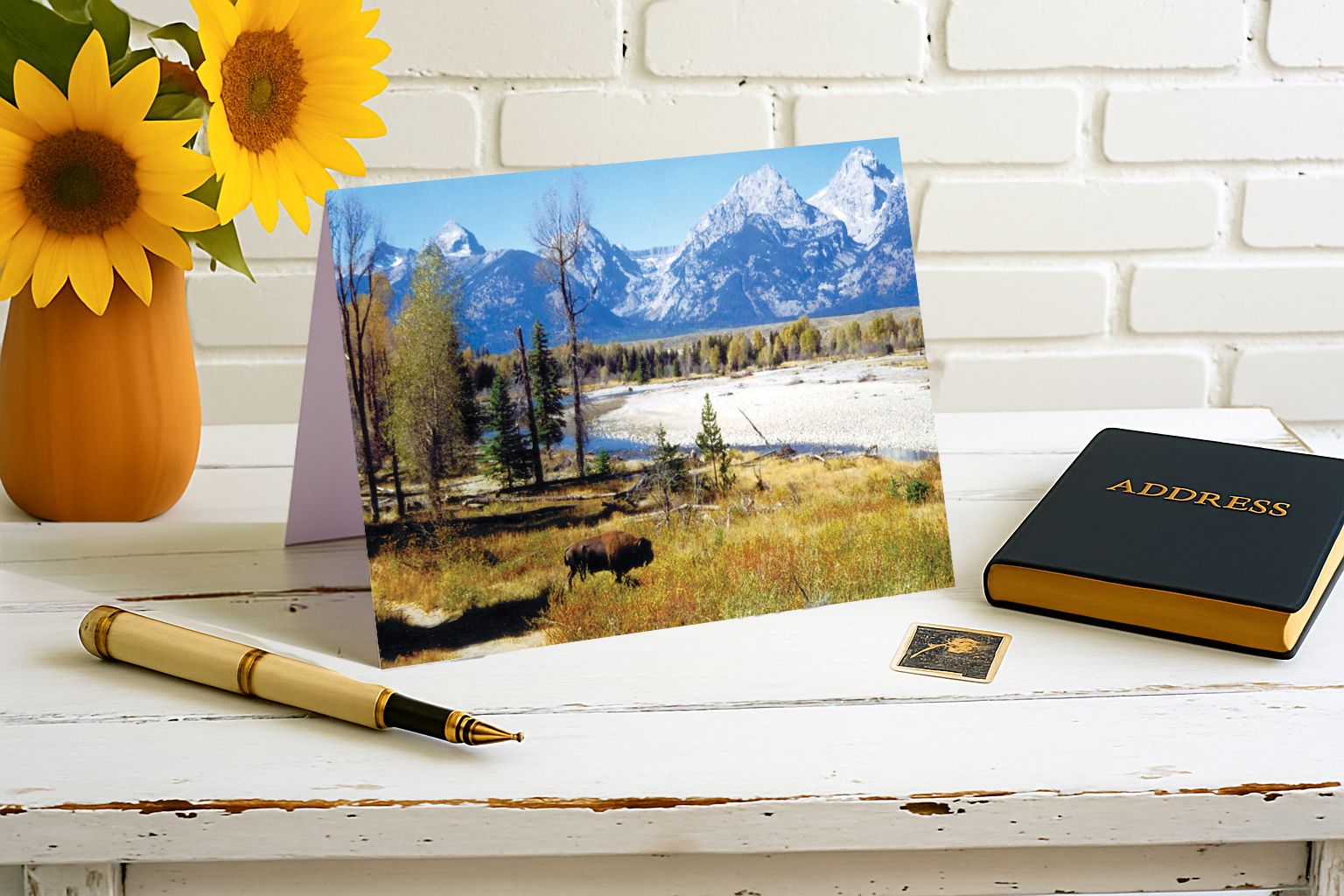 Where the Buffaloes Also Roam – Jackson Hole Magic Collection