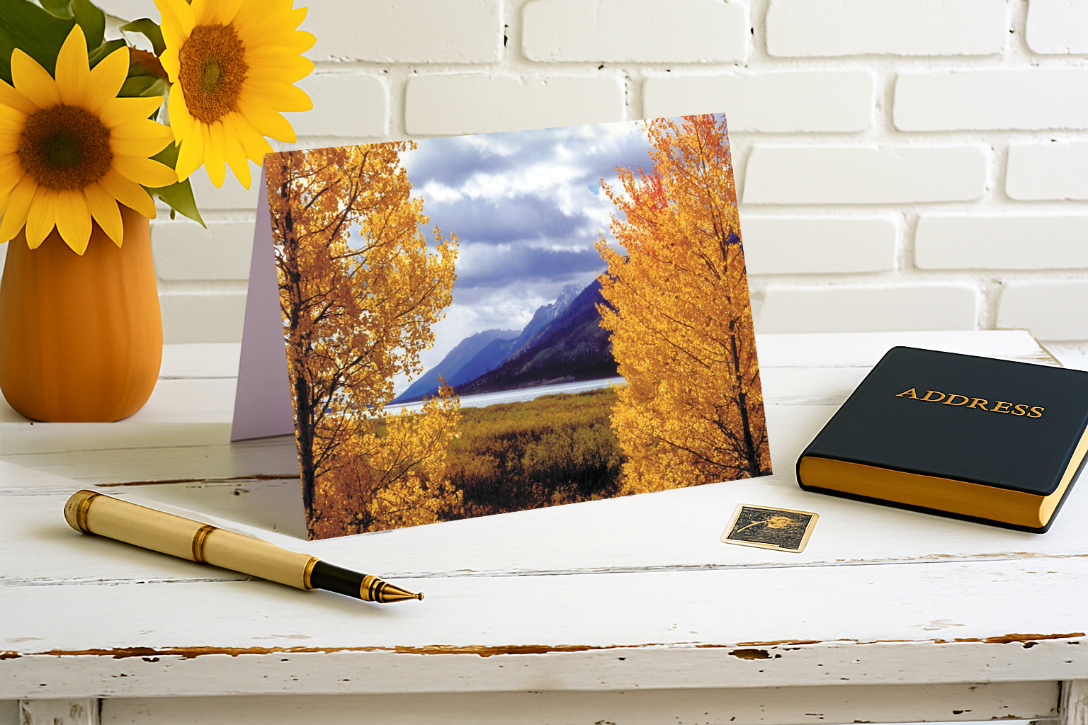 Framed by Beautiful Aspens – Jackson Hole Magic Collection