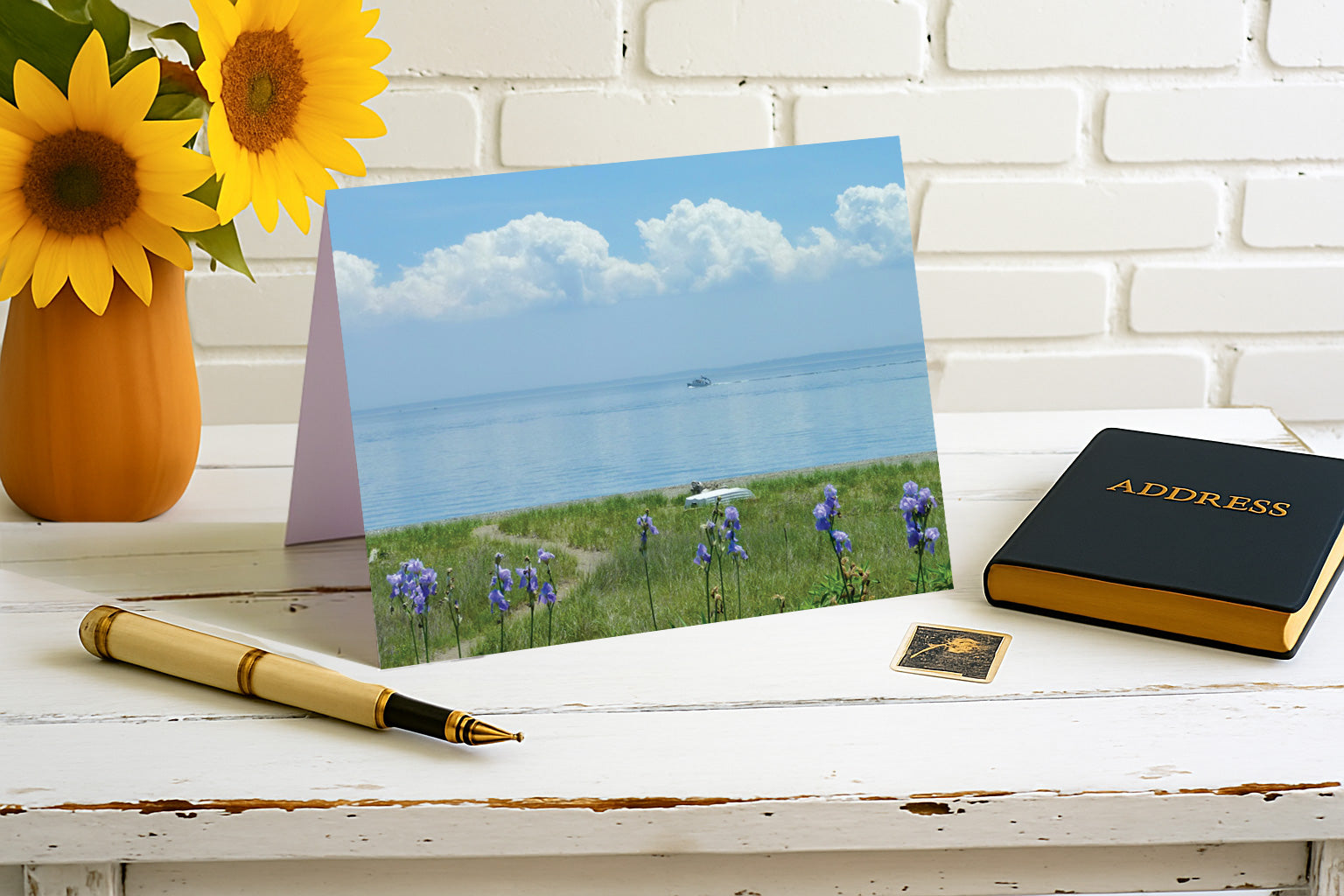 Soft Irises - Coastal Bluff Beauty Collection