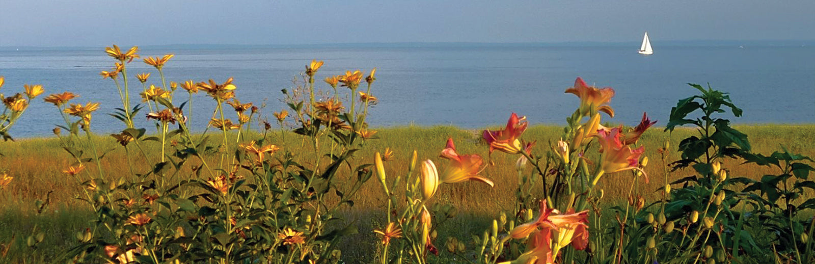 Coasters - The Coast Bluff Collection