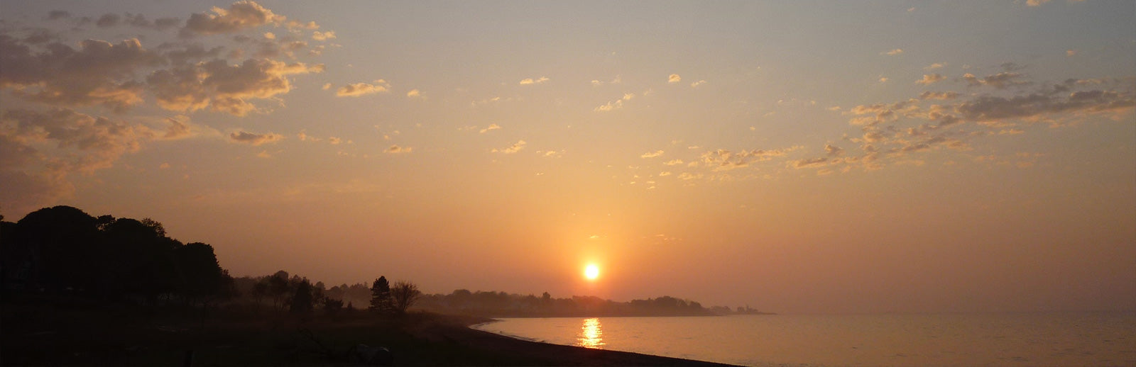 New Year / New Chapter