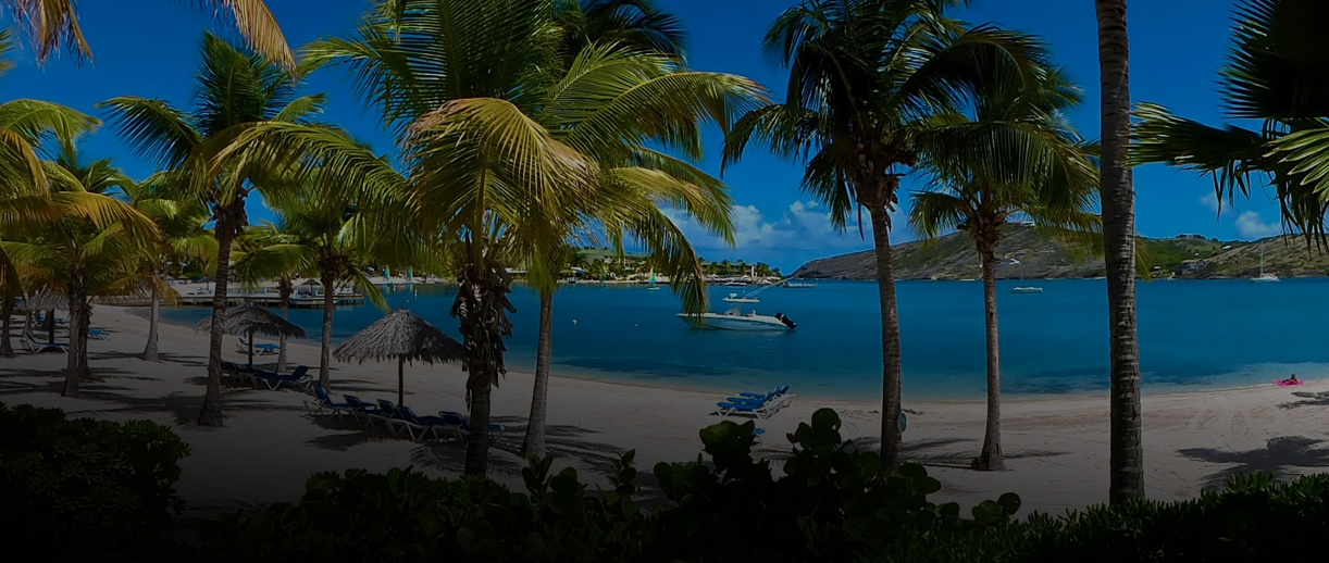 Stainless Steel Insulated Tumblers