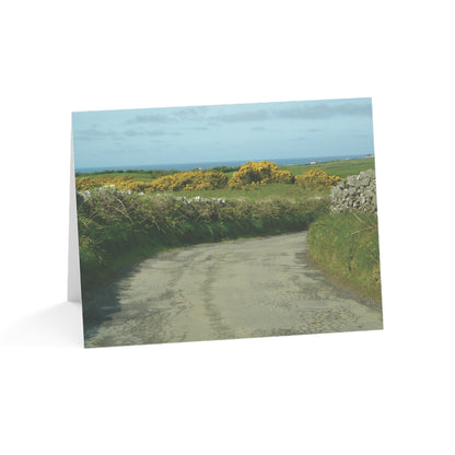 A Happy Road to The Sea – The Joy of Ireland Collection