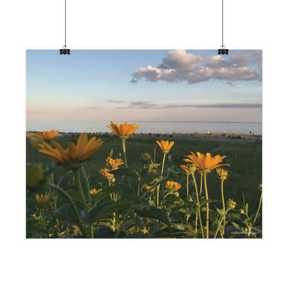 Wild Daisies Adorn The Bluff  - Textured Watercolor Matte Poster/Horizontal