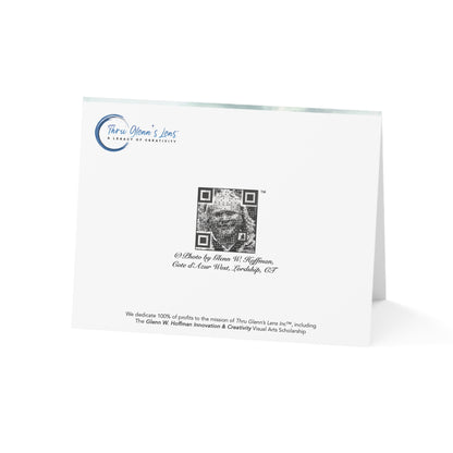 A Happy Rainbow & Daisies - Rainbows Collection