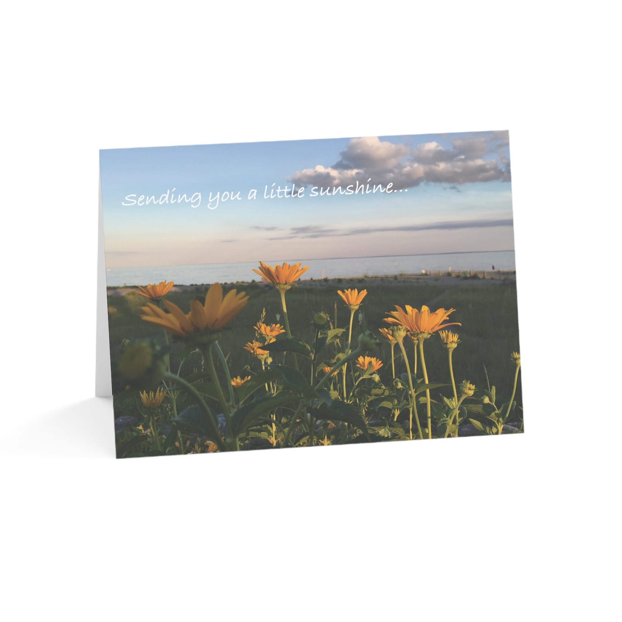 Sending a Little Sunshine – Thinking of You Card