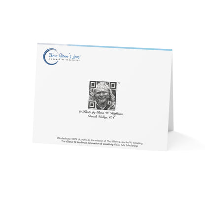 You've Come So Far! –  Kudos, Birthdays & Milestones