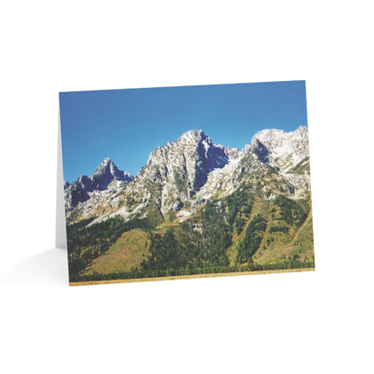 Do You See The St. Bernard? – Jackson Hole Collection