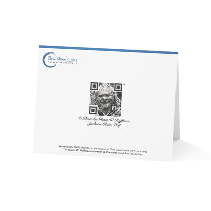 Do You See The St. Bernard? – Jackson Hole Collection