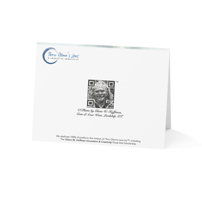 Closing Out a Shitty Year –  New Year, New Chapter, Friendship & Positivity