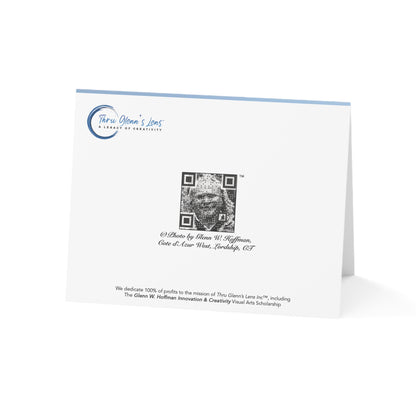 Wildflowers Everywhere - Coastal Bluff Beauty Collection