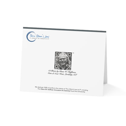 A Red Sky & A Lonely Gull – Sunsets Collection