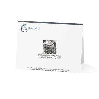 A New Dawn of Possibilities – New Year, New Chapter, Friendship & Positivity