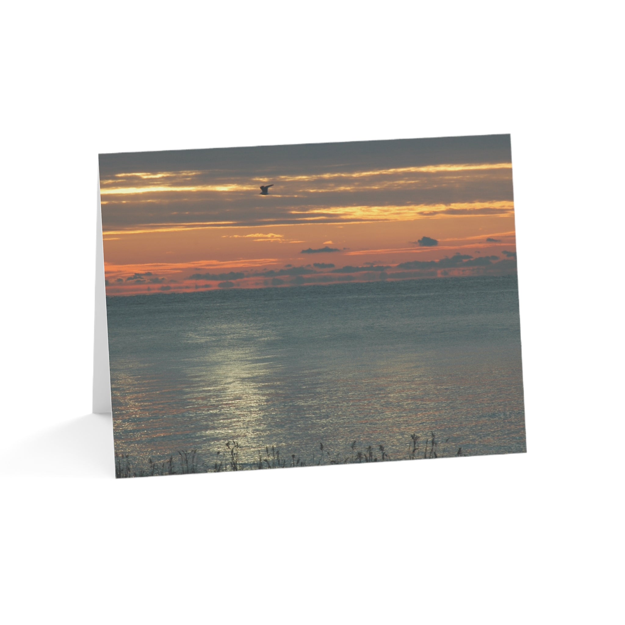 A Red Sky & A Lonely Gull – Sunsets Collection