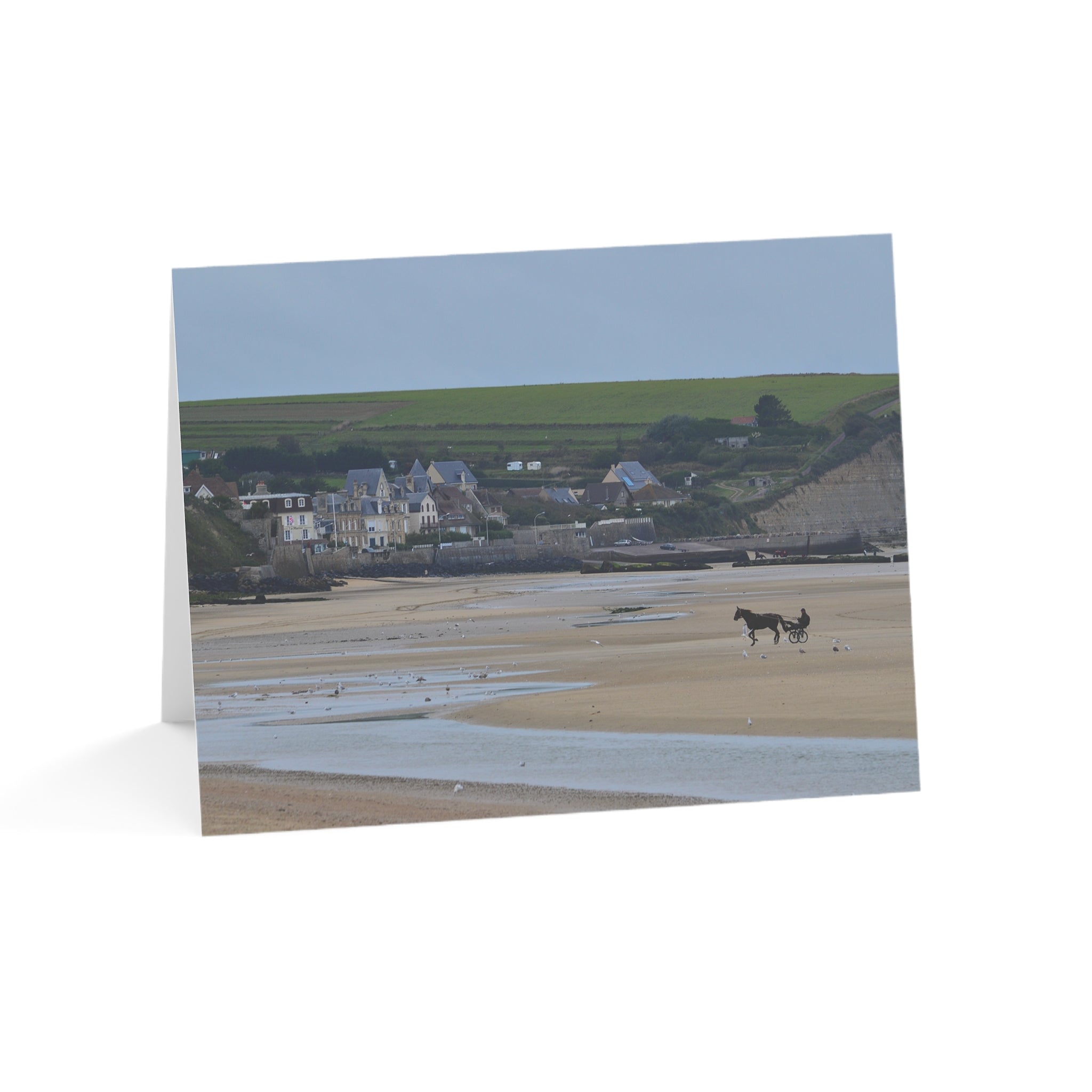 Happy Harness Horse on the Beach – Reflecting On Normandy Collection