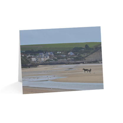 Happy Harness Horse on the Beach – Reflecting On Normandy Collection