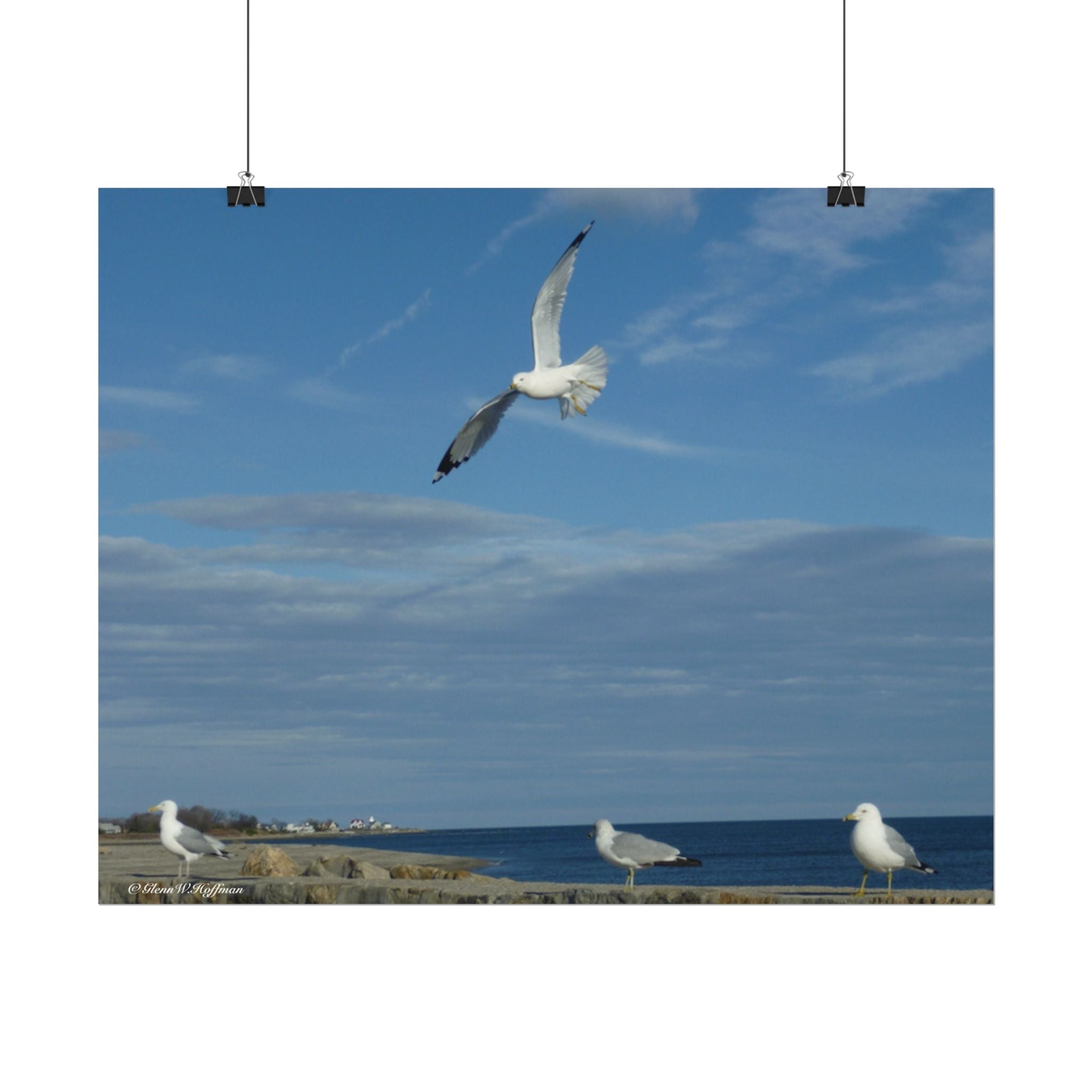 Happy Gulls in Flight - Textured Watercolor Matte Poster/Horizontal