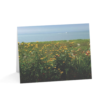 Wildflowers Everywhere - Coastal Bluff Beauty Collection