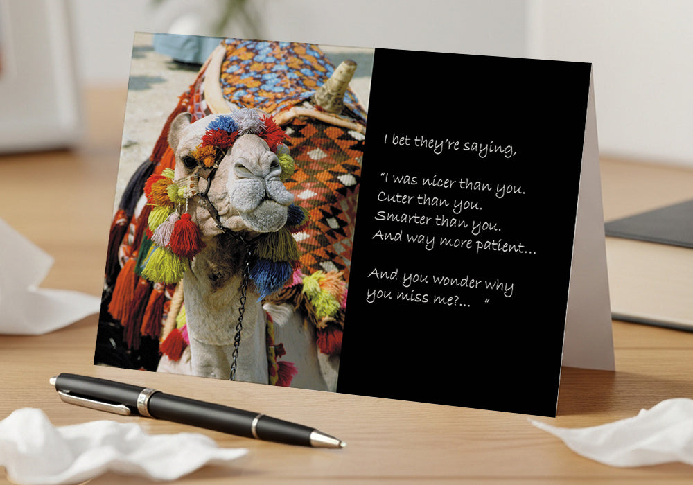 Mr. Camel Knows – Grief, Sympathy Card, Loss of Pet