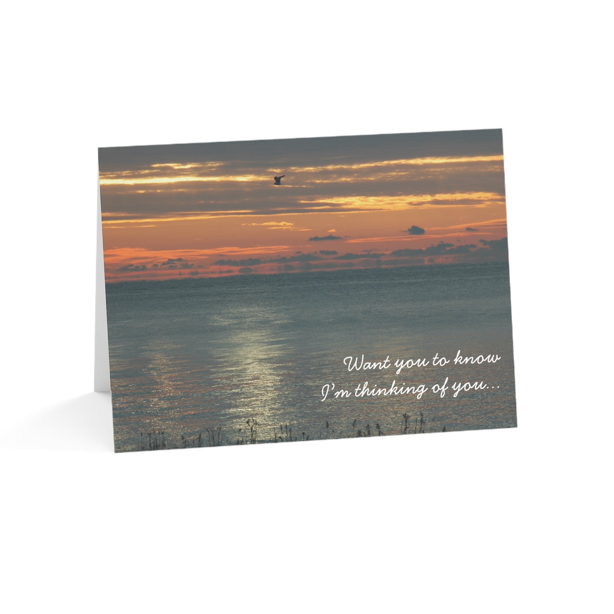 The Gull is Alone, Not You   – Thinking of You Card