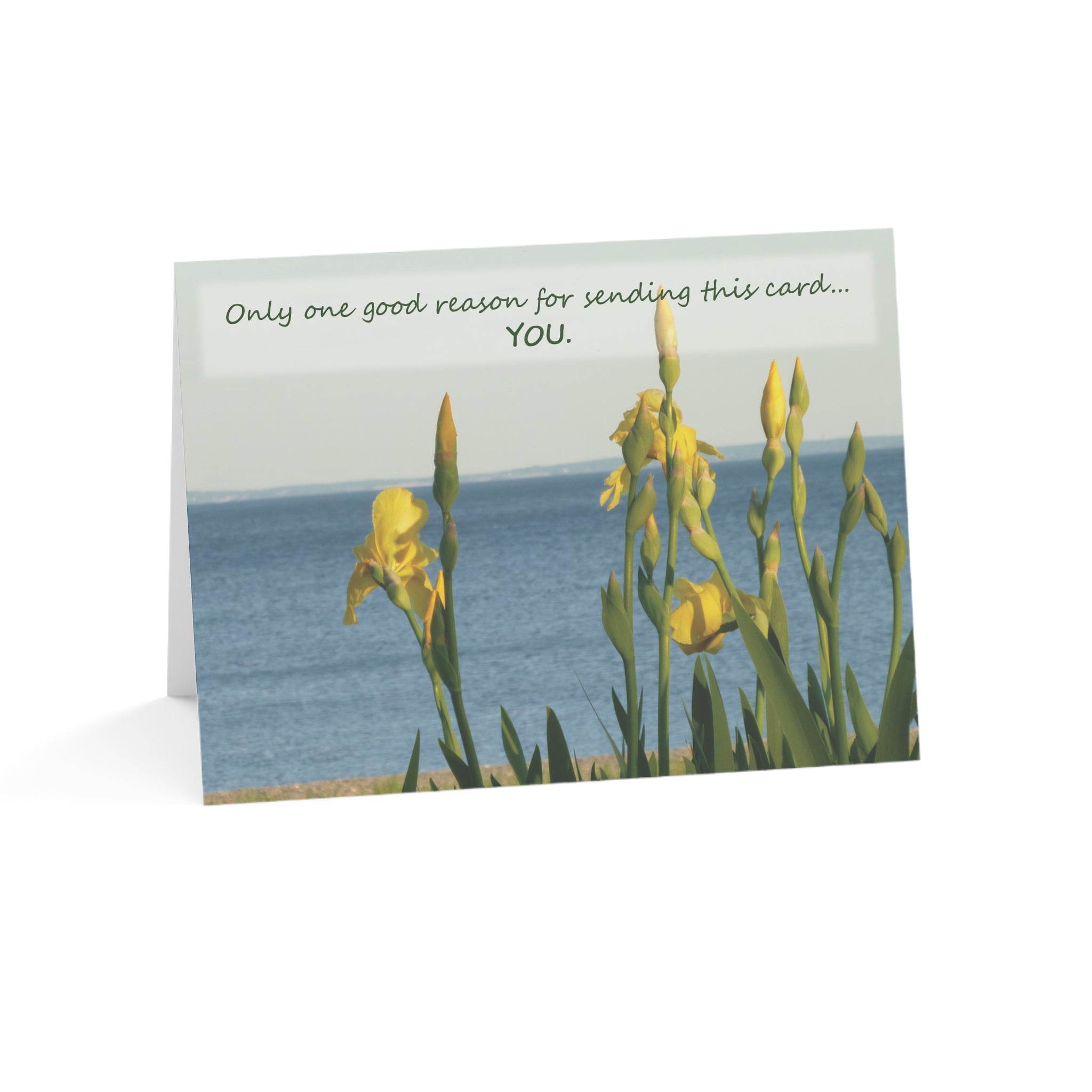 You're the Reason! – Thinking of You Card