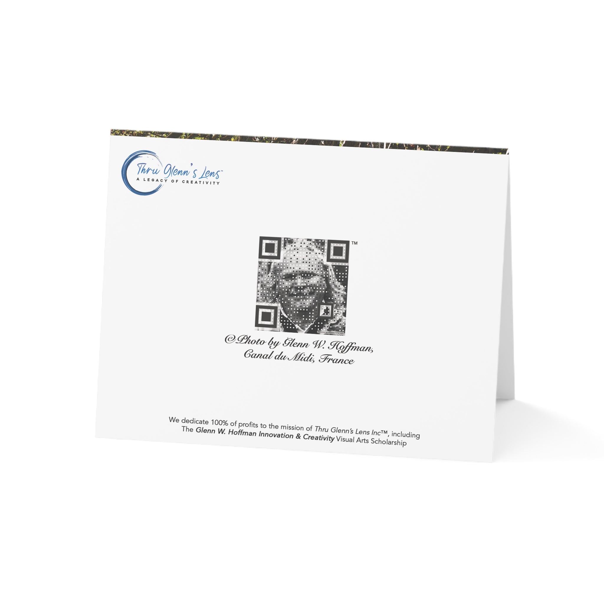 Stately Canal-Side Trees in France – Canals of Europe Collection