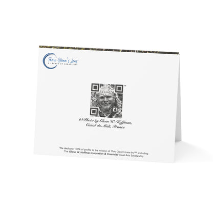 Stately Canal-Side Trees in France – Canals of Europe Collection