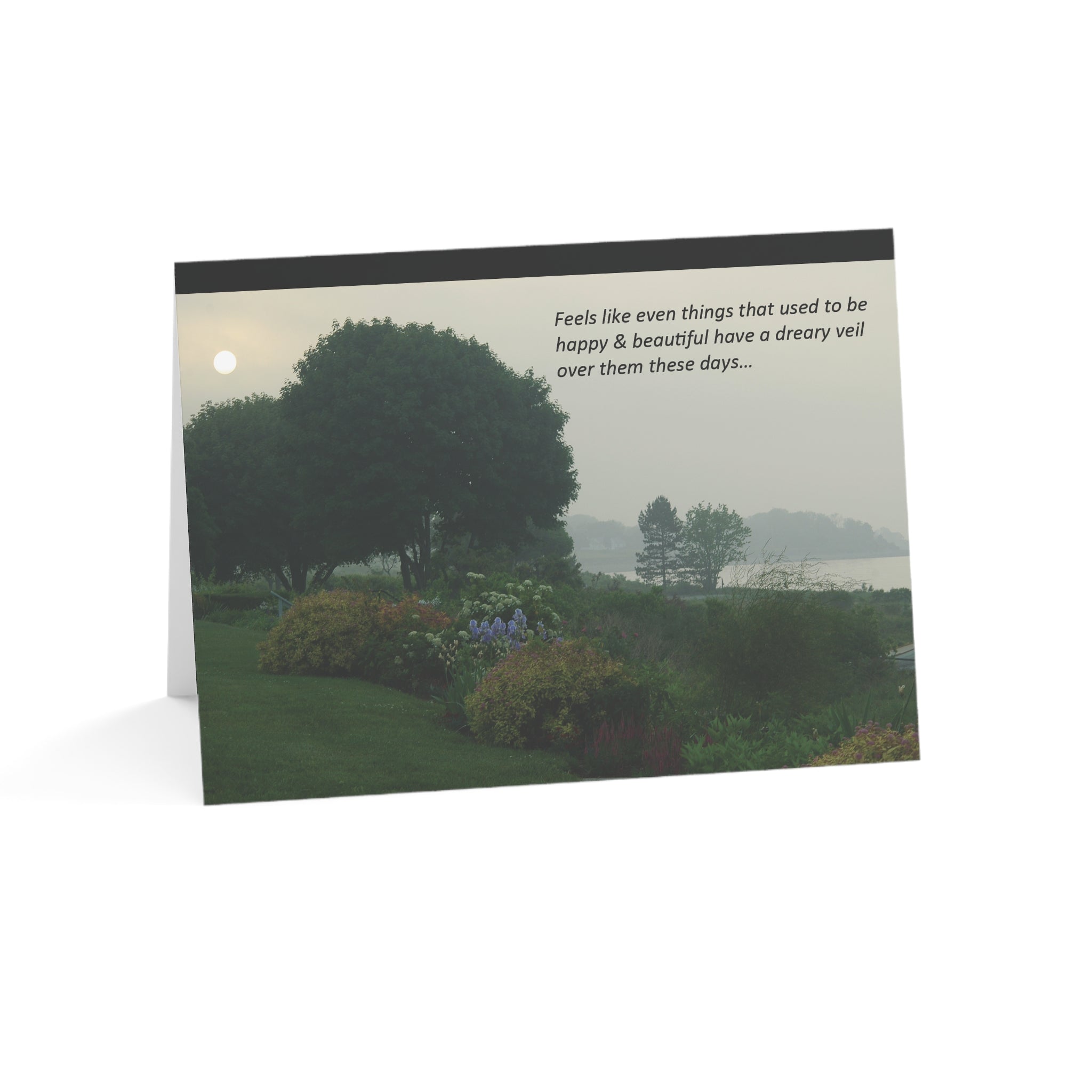 Just the Blahs - Empathy, Support Card, Shitty Things Happen to Good People