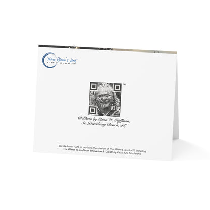 The Sun Goes Down on St Pete Beach – Sunsets Collection