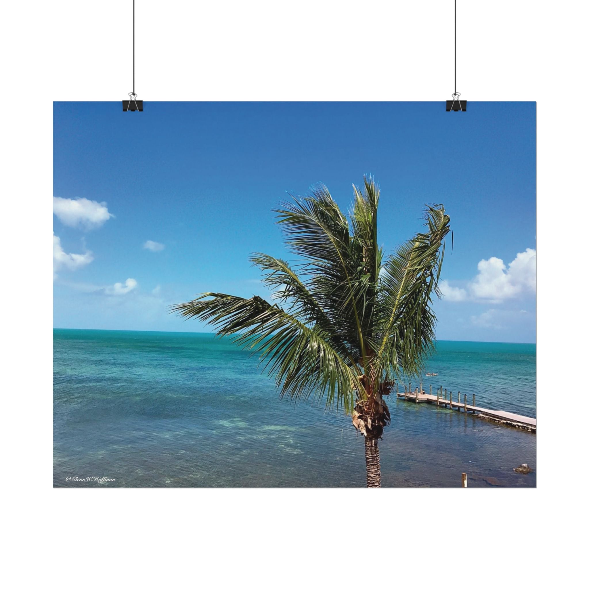 Windswept Palm on Islamorada- Textured Watercolor Matte Poster/Horizontal