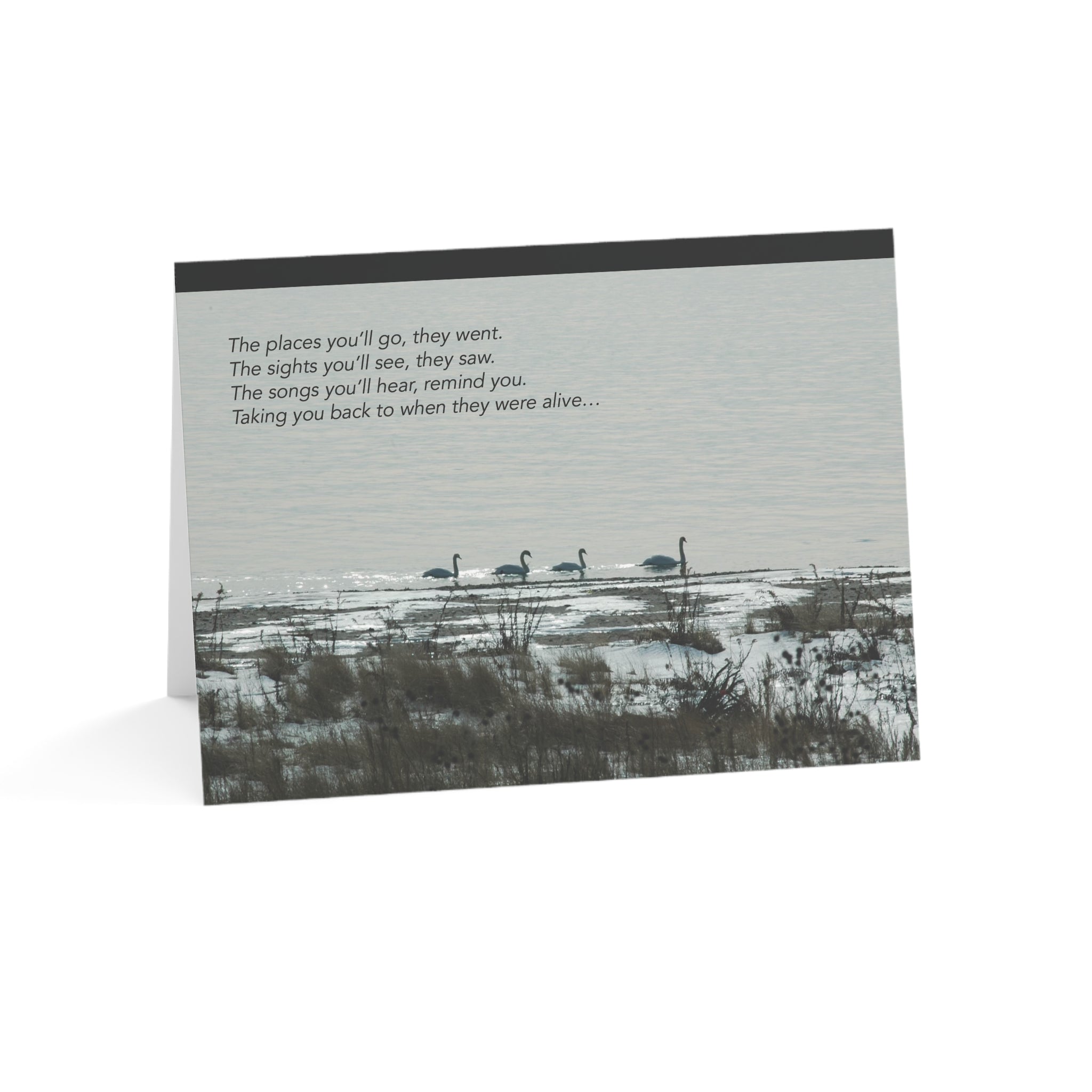 Where I Go, You Go Swans – Loss of Sibling, Grief, Sympathy Card